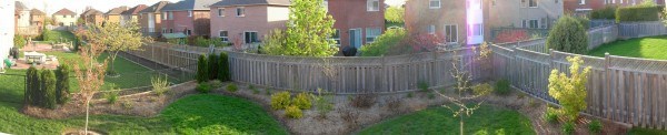 2008 back garden spring