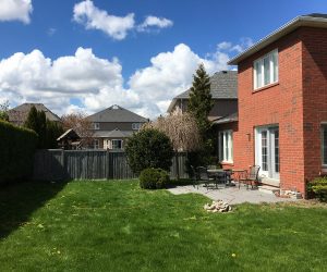 Backyard Before Picture