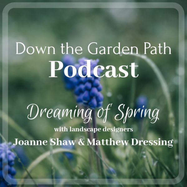Dreaming of Spring