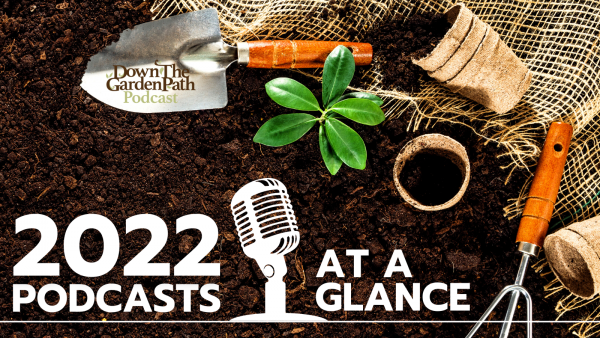 2022 podcasts at a glance image