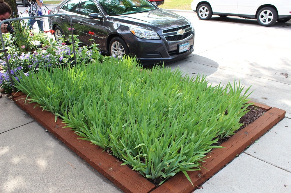 2016 Garden Blogger Fling Hellstrip Garden 
