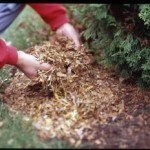 Amending Soil