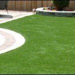 Artificial Grass
