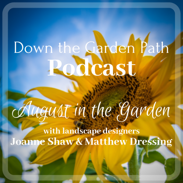 August in the Garden podcast image