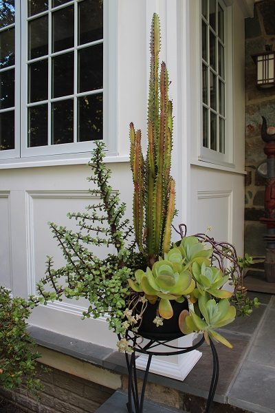 Unique and artistic planter found on Garden Blogger Fling