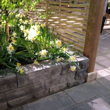 garden wall