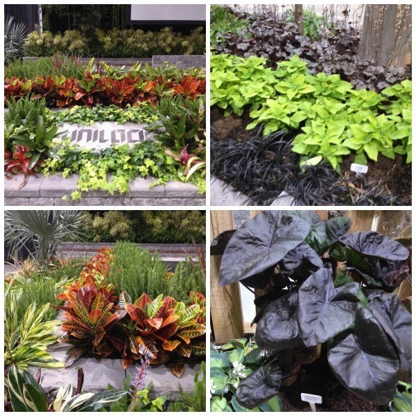 colour themed gardens