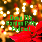 Holiday Plants for decorating or gift giving