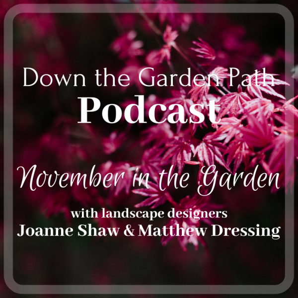 Down the Garden Path November in the Garden