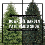 Everlasting vs Real Christmas trees