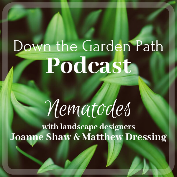 Nematodes podcast 