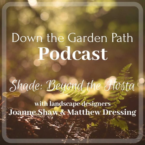 shade gardening podcast shade gardening podcast