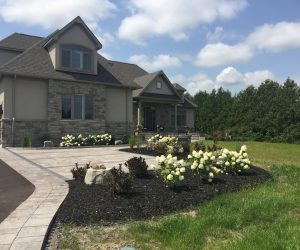 Landscape Projects - Front yard