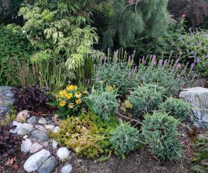 Plant grouping for boulevard garden