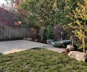 Finished backyard