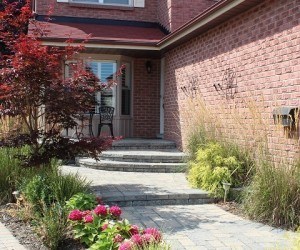 Front & Side yard Landscape Design Plan