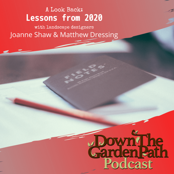 lessons from 2020