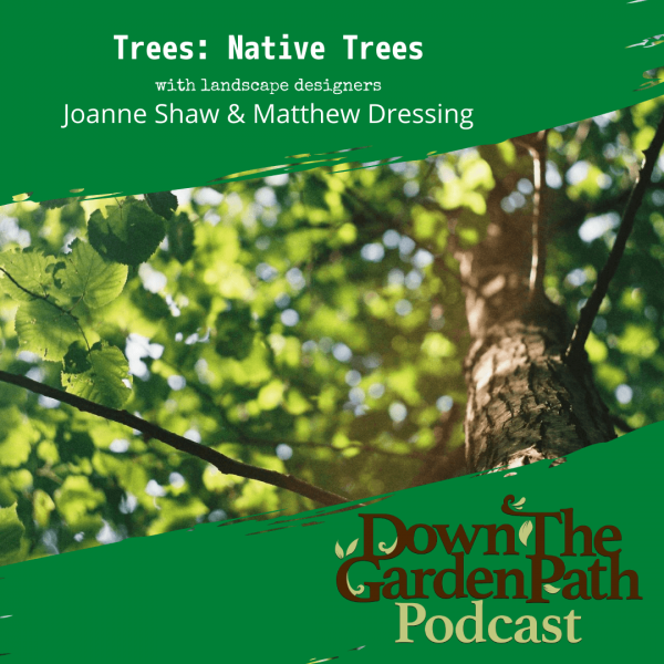 native trees