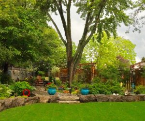 Finished backyard