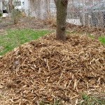 Mulch volcano