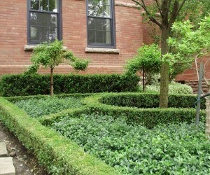 Formal Garden with hedges and no grass in front yard