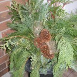 Simple Evergreen Urn