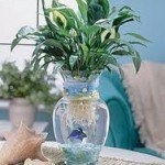 Peace Lily in water