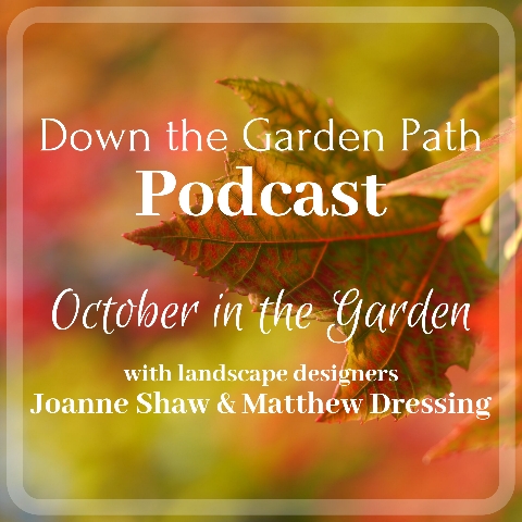 October in the Garden 