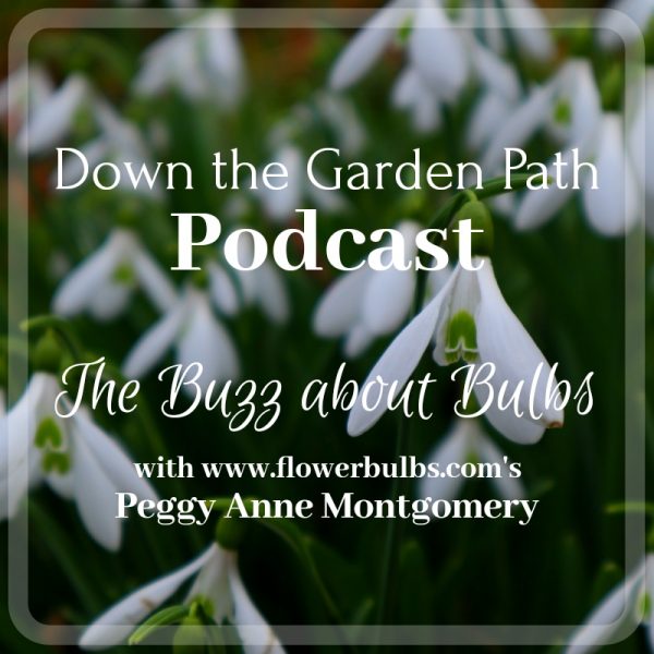 planting fall bulbs