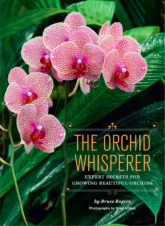 The Orchid Whisperer