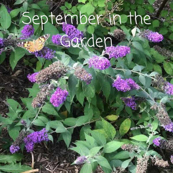 September in the Garde