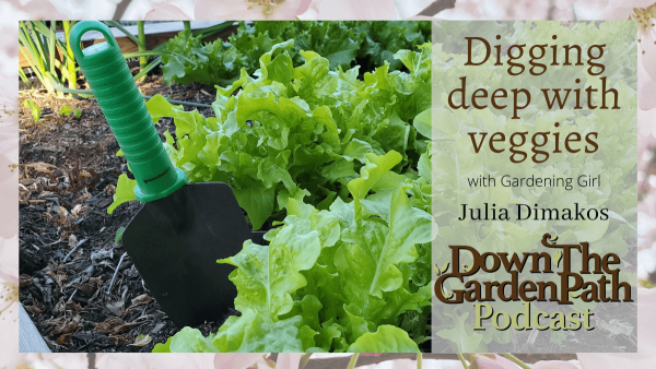 digging deep with veggies