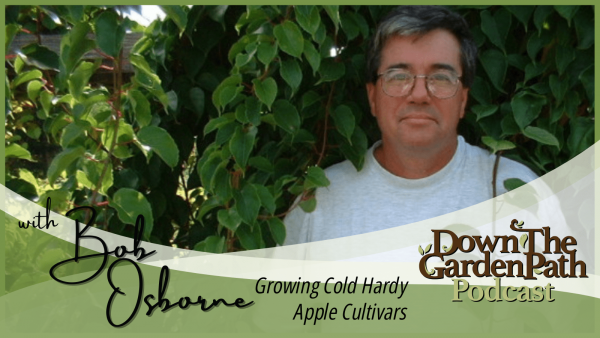 Growing Cold Hardy Apple Cultivars podcast image