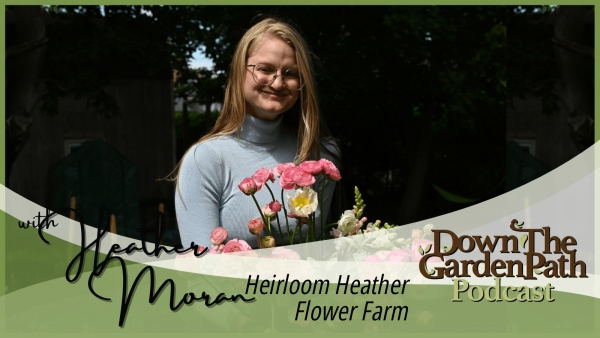 Heirloom Heather Flower Farm podcast image