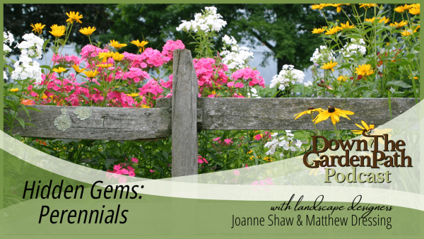 Hidden Gems Perennials