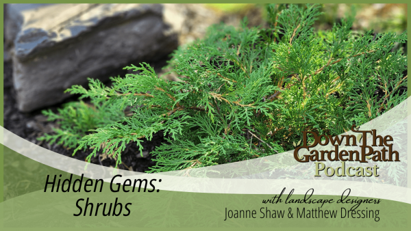 hidden gems shrubs podcast image