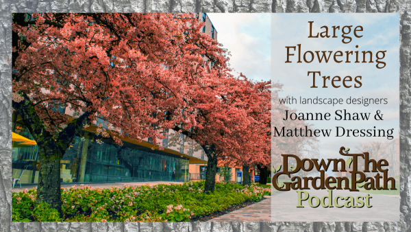Large Flowering Trees