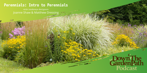 Perennials - Intro to perennials