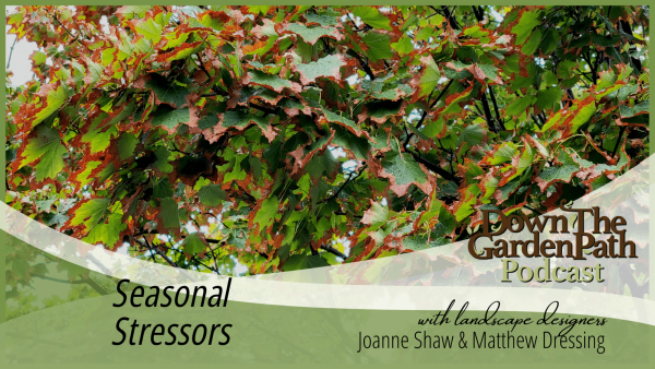 Seasonal Stressors podcast image