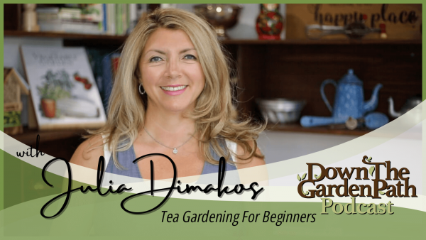 Tea Gardening for Beginners podcast image