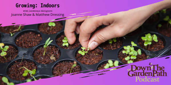 growing indoors