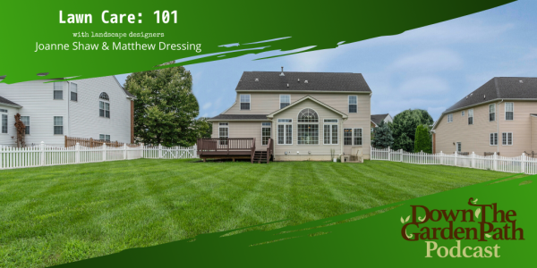 Lawn Care 101