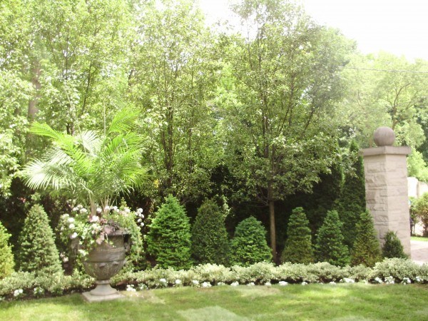View from house