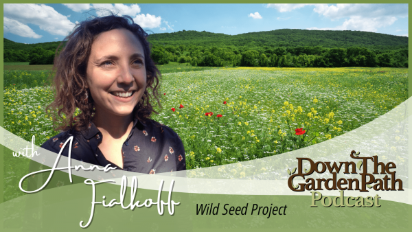 Wild Seed Project
