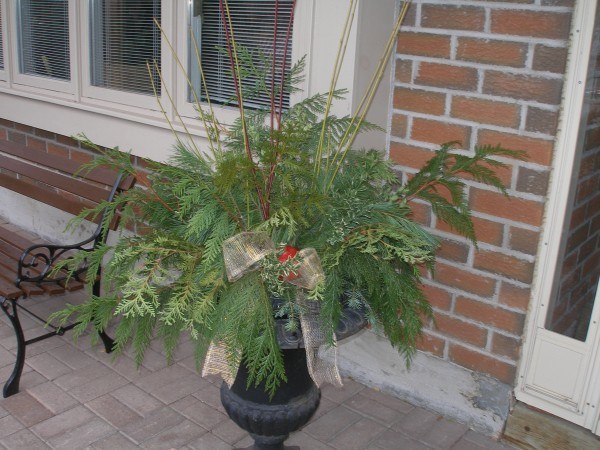 Winter Container