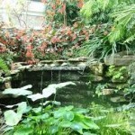 Allan Gardens