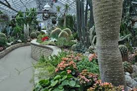 Allan Gardens