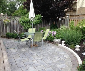 Left side of yard today.