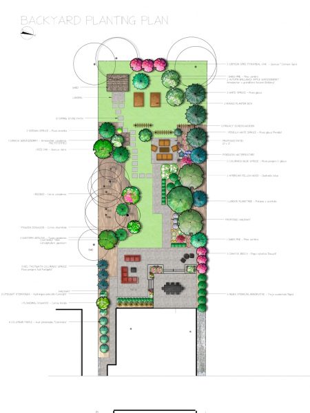 backyard modern landscape design