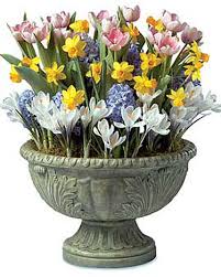 bulbplanter2